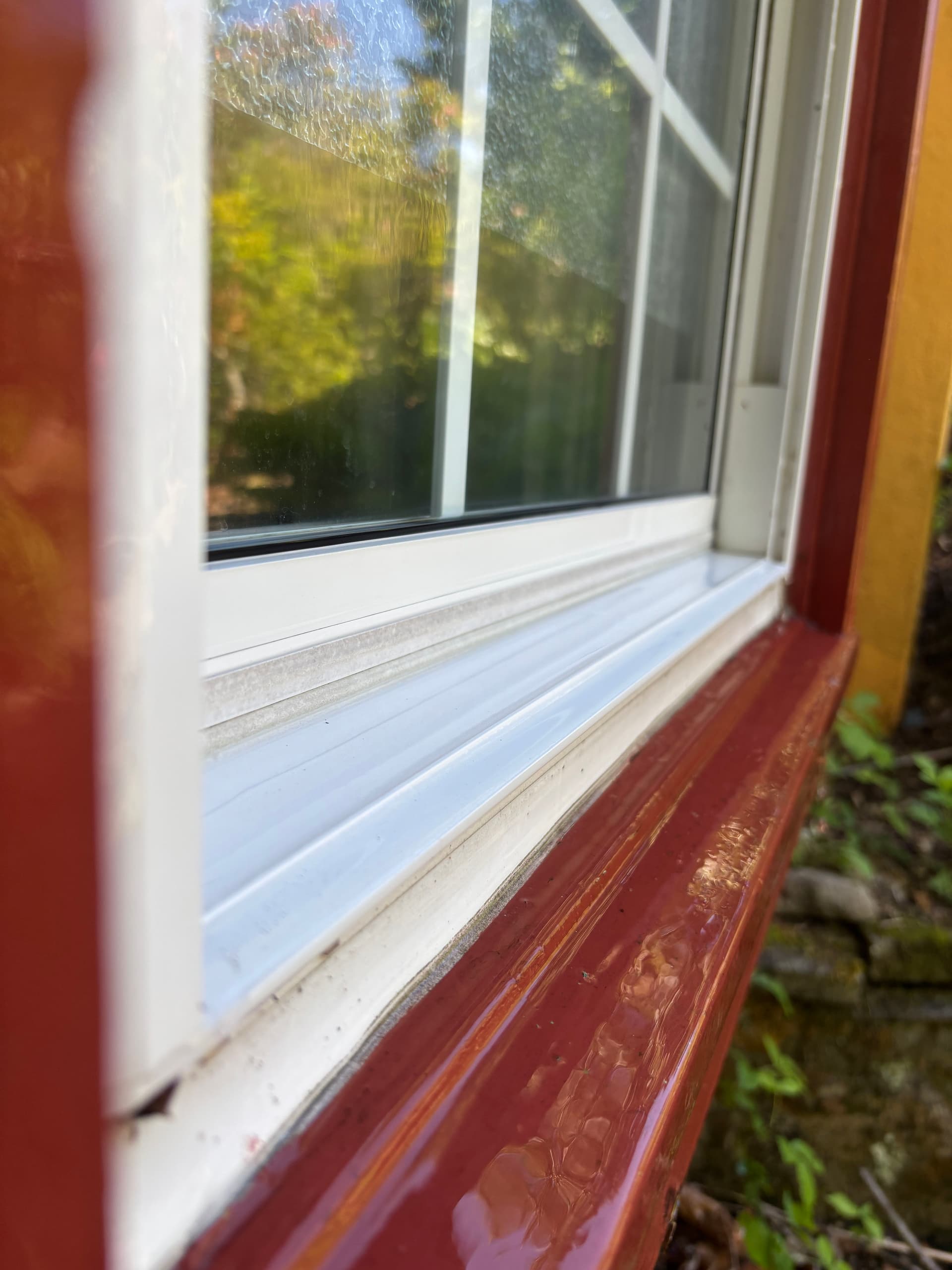 What's Actually Living in Your Window Tracks