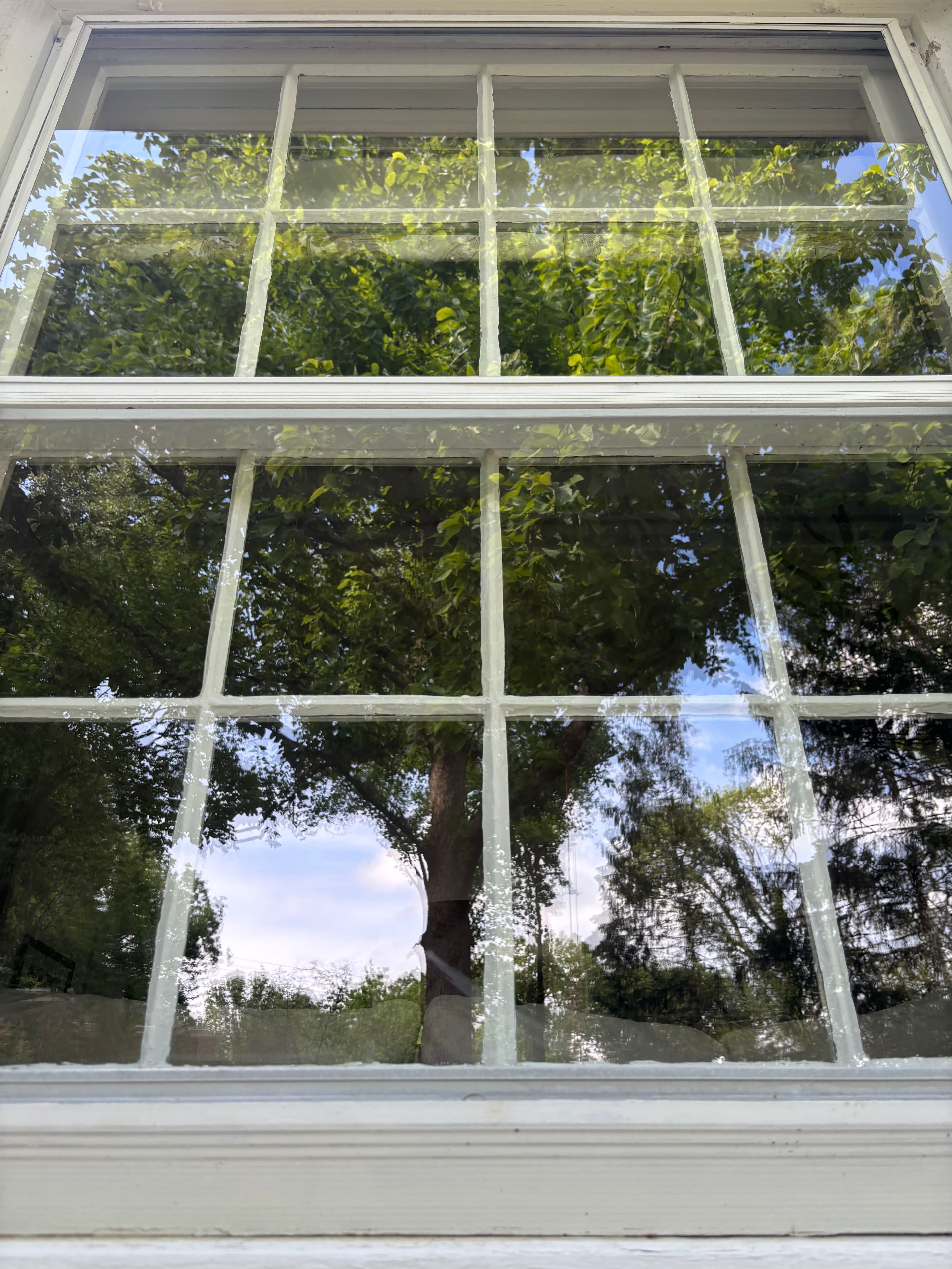 Project French Pane and Storm Window Cleaning Done Right image