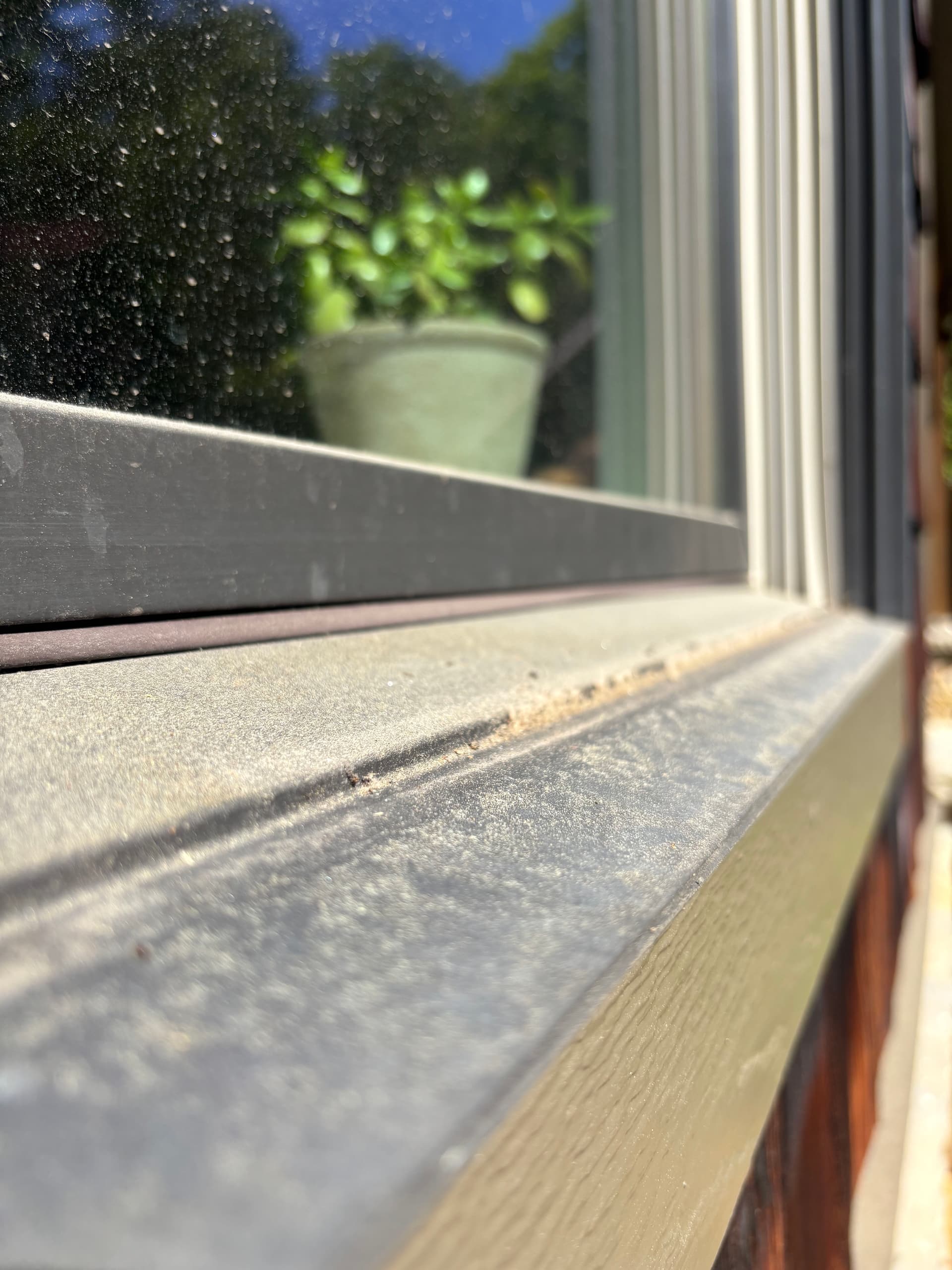 Gallery photos for Pollen, Water Spots, and Grimy Sills - Gone: Image #6