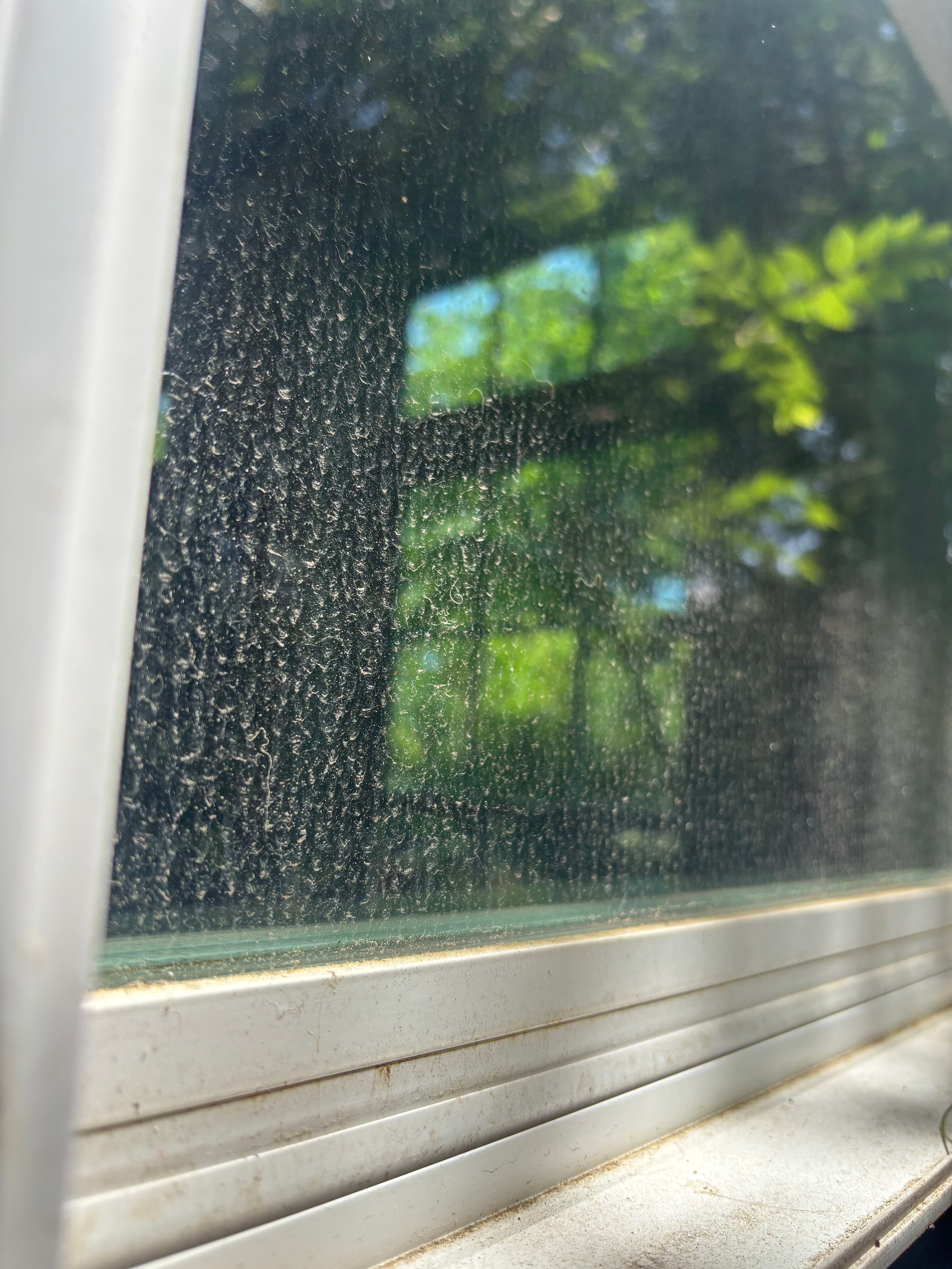 Project Full Home Window Cleaning Inside Out and Screens Too image