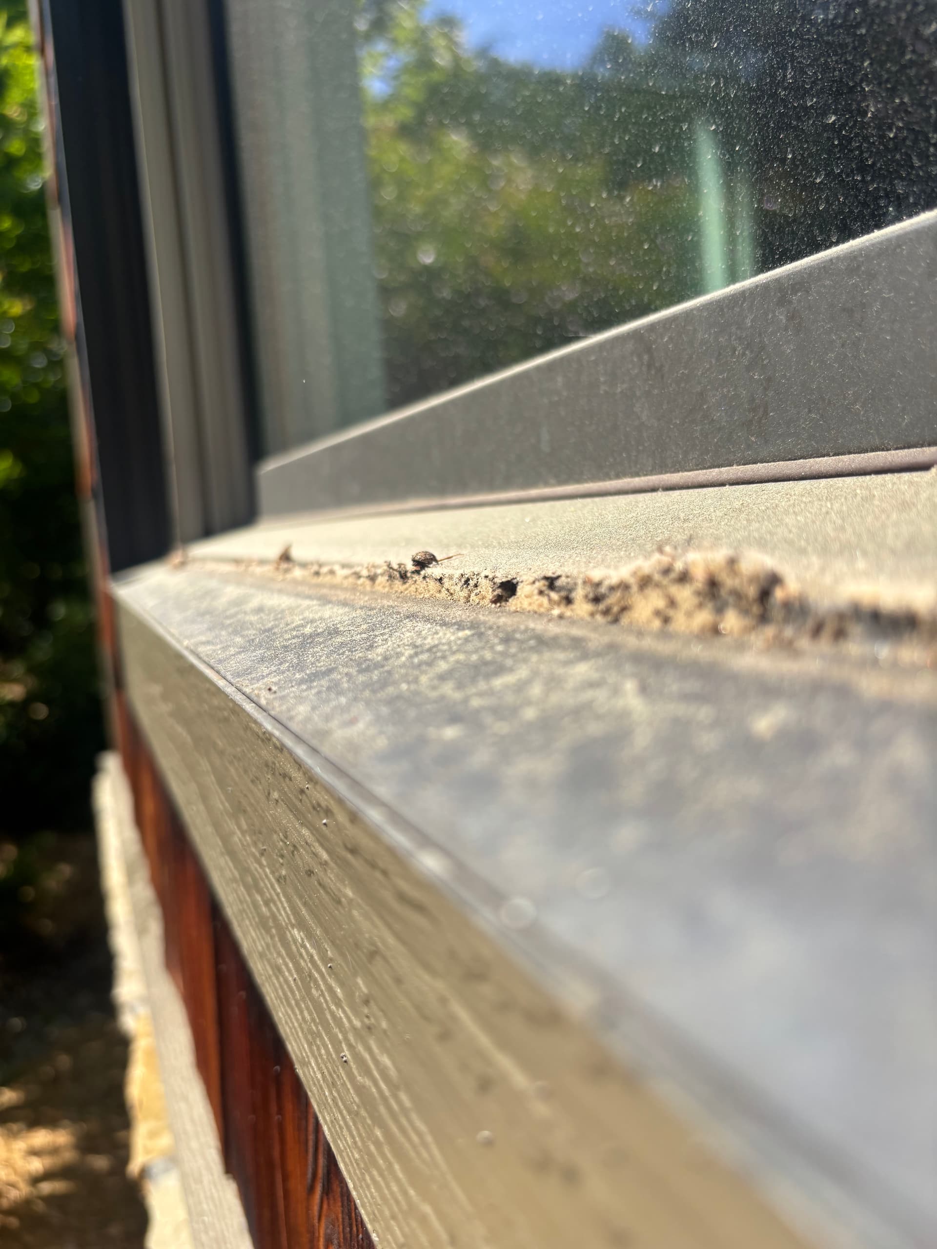 Gallery photos for Pollen, Water Spots, and Grimy Sills - Gone: Image #4