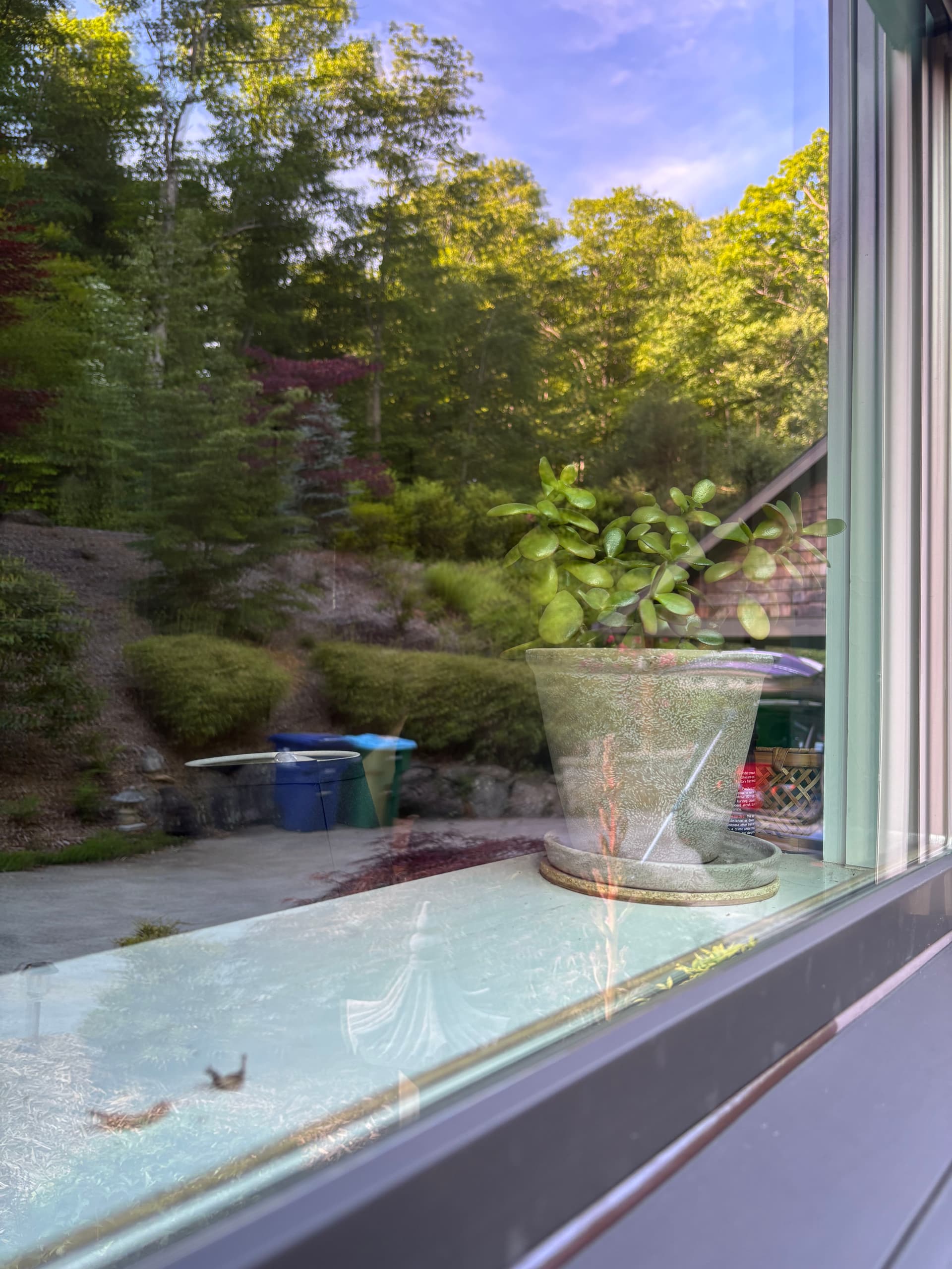 Gallery photos for Pollen, Water Spots, and Grimy Sills - Gone: Image #3