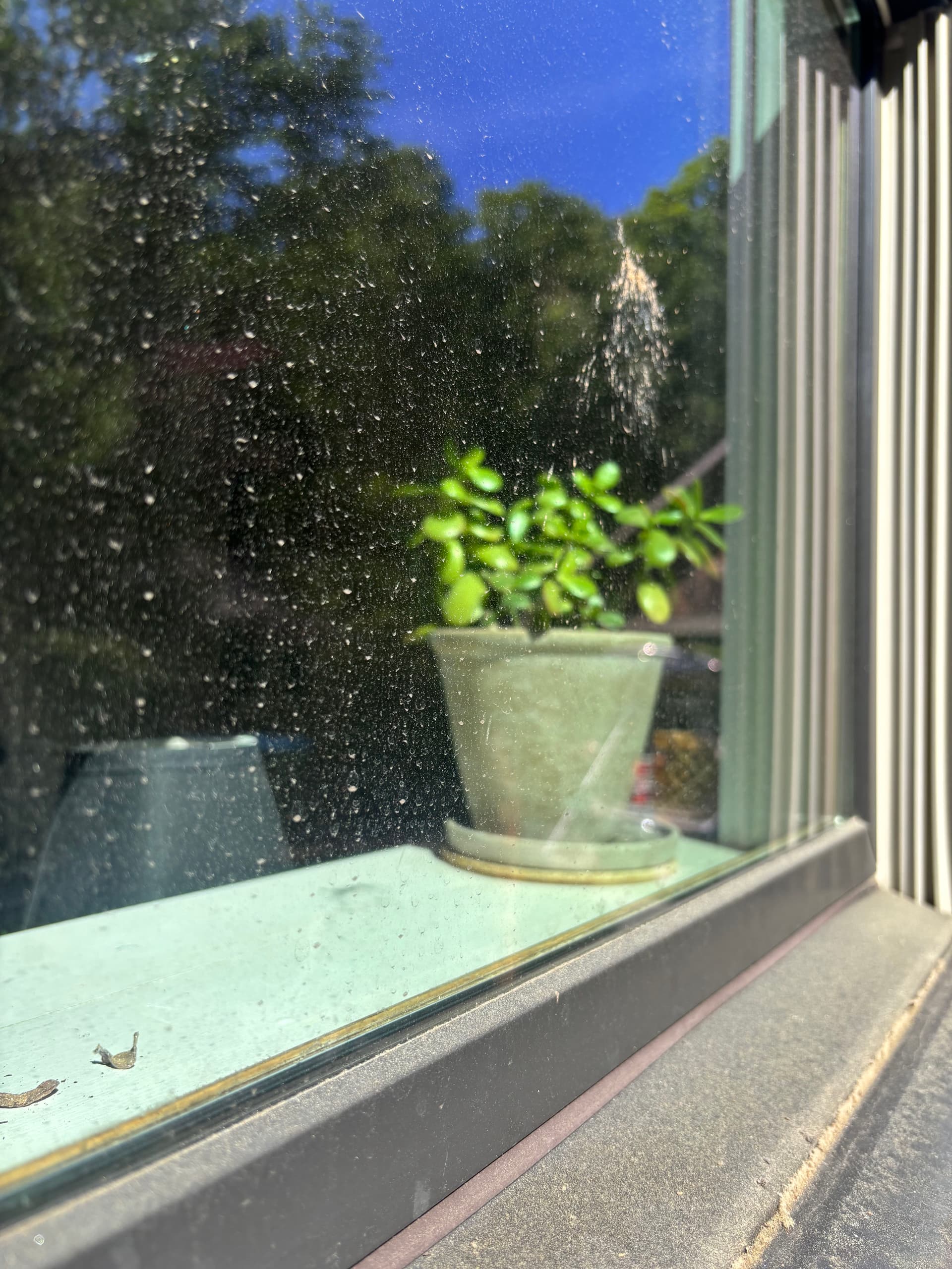 Gallery photos for Pollen, Water Spots, and Grimy Sills - Gone: Image #2