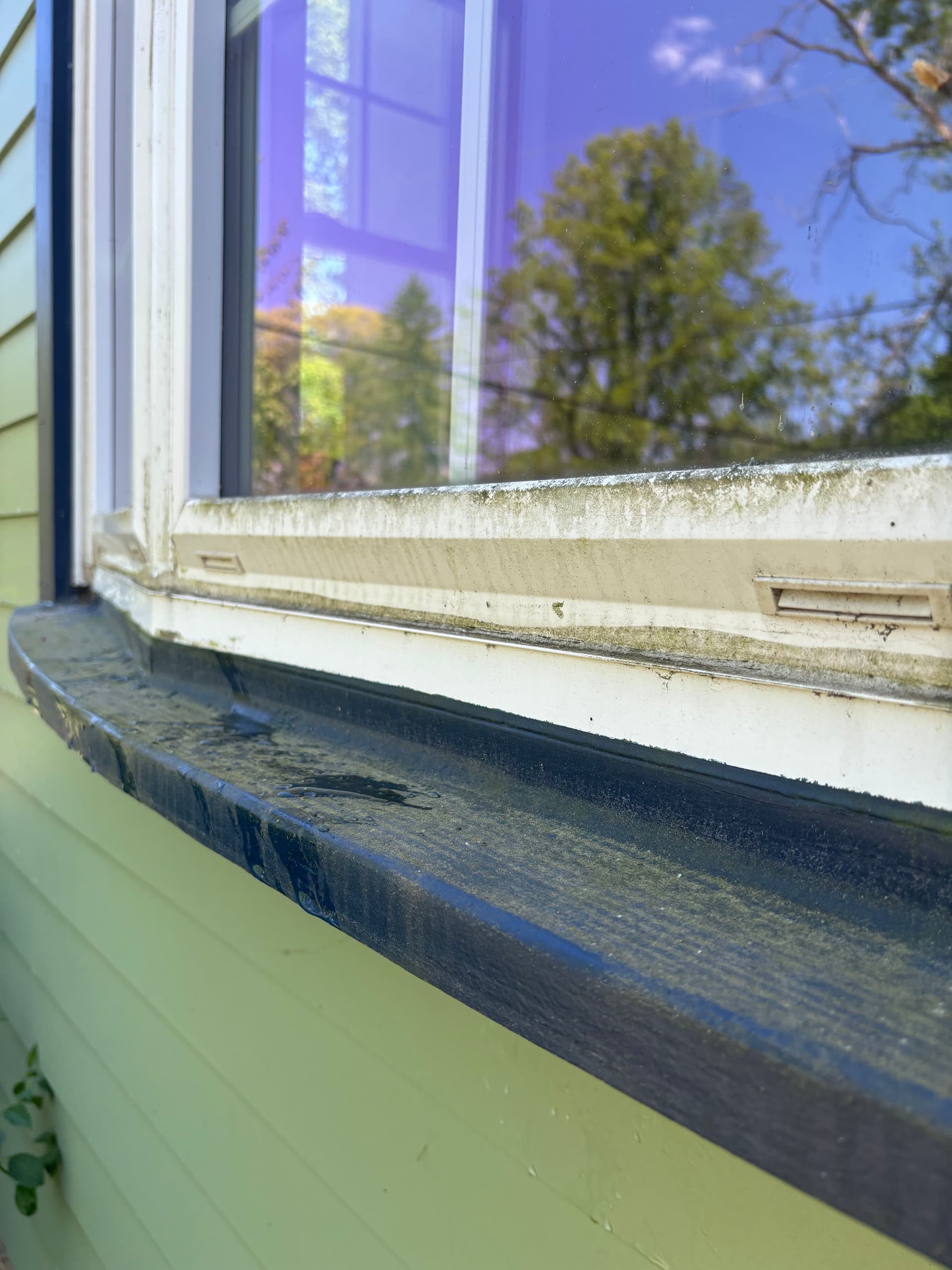 Gallery photos for Full Home Window Cleaning Inside Out and Screens Too: Image #4