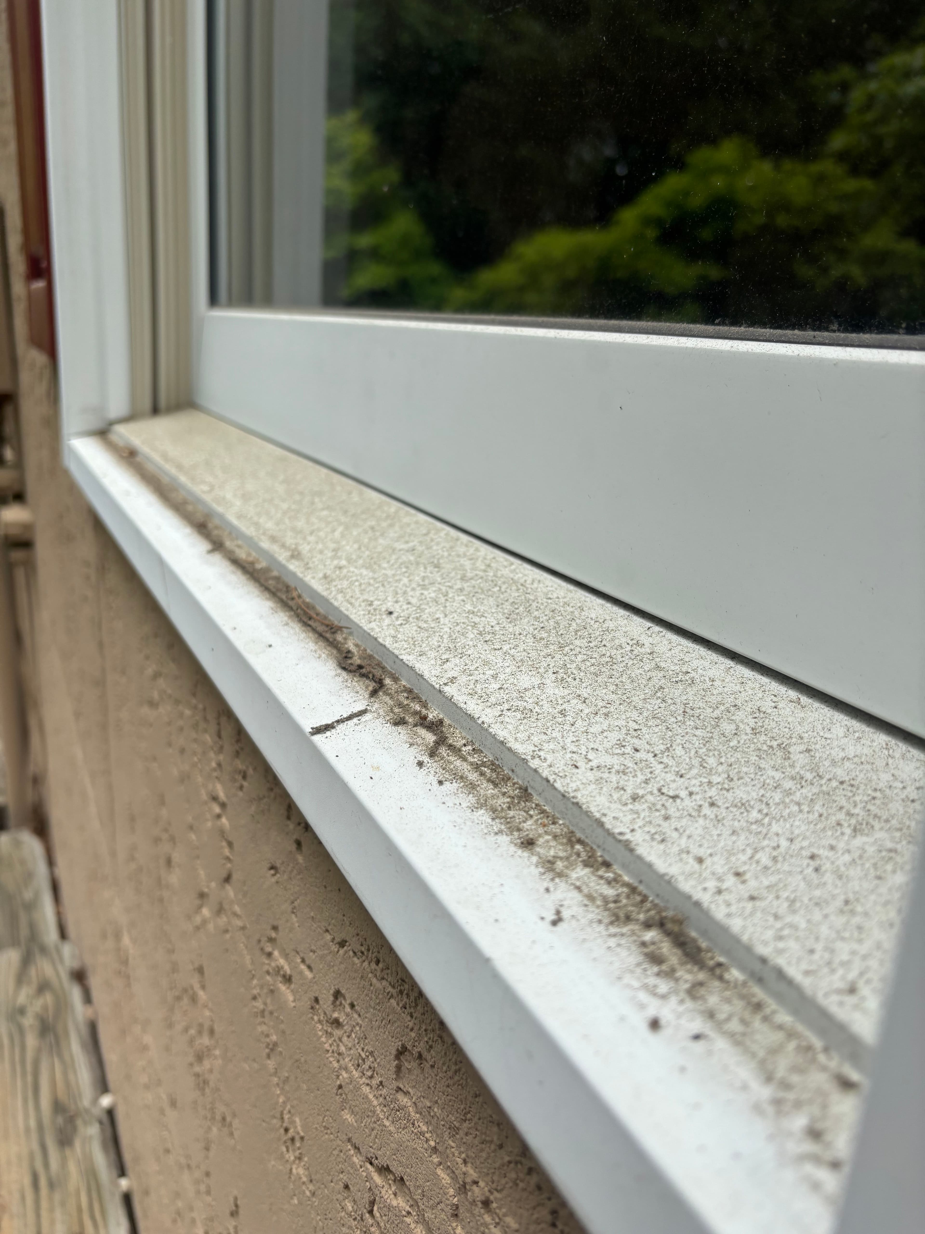Project Window Cleaning That Gets a Hendersonville Home Market-Ready image