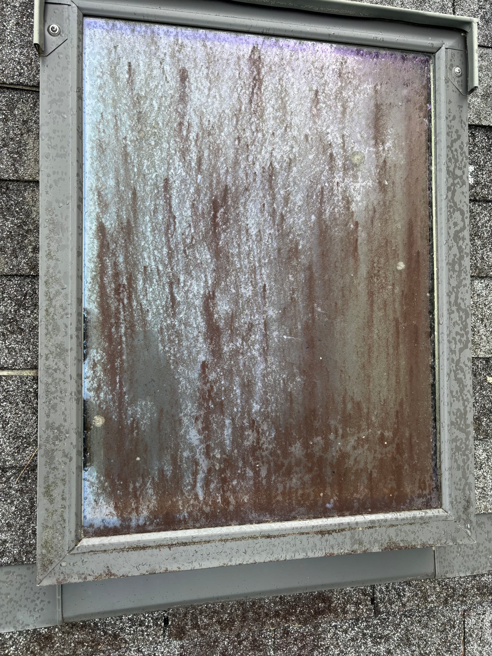 Gallery photos for Exterior Window and Skylight Cleaning That Actually Makes a Difference: Image #1