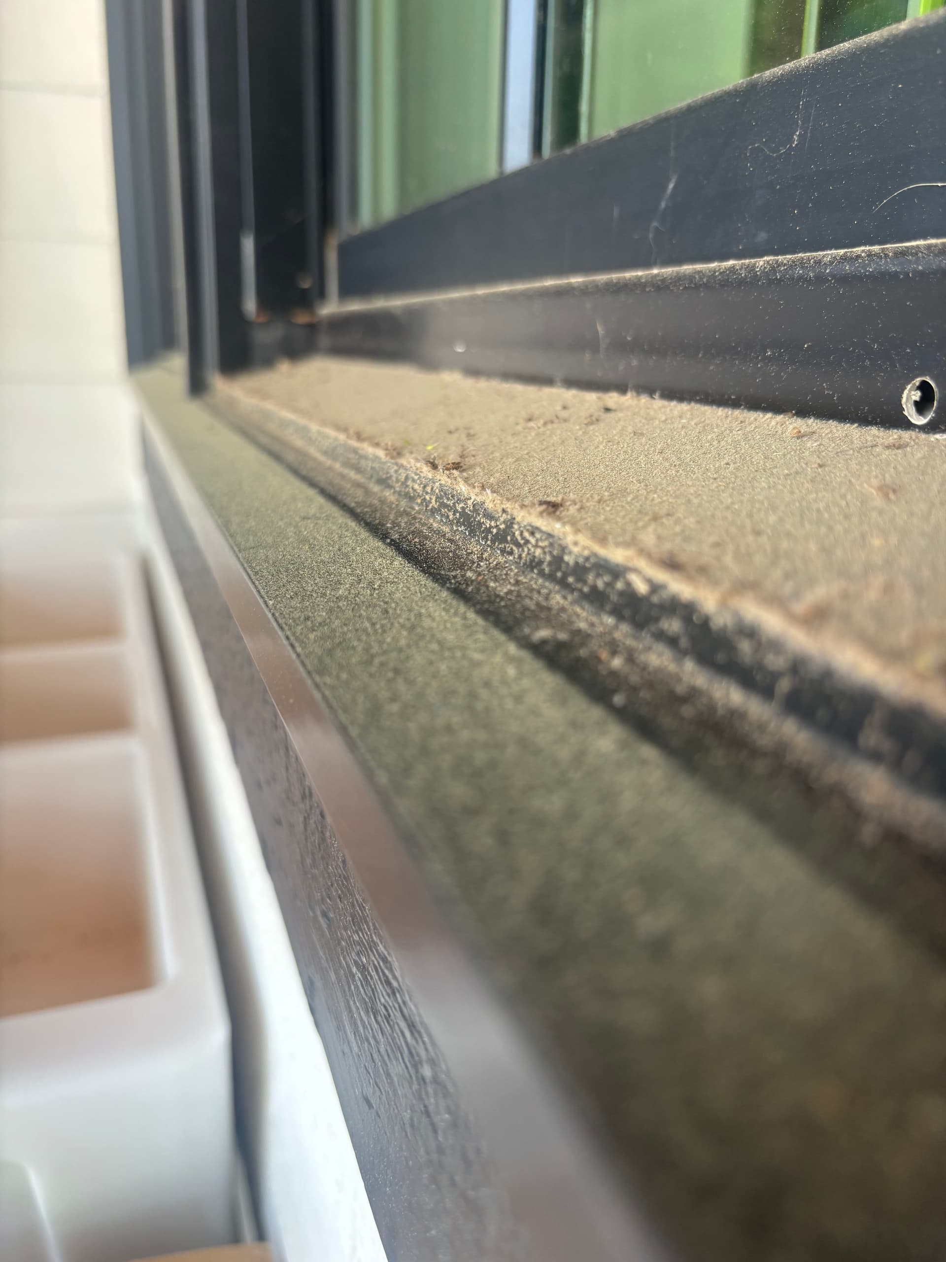 Gallery photos for Pollen Season Window Cleaning on a Corner Home: Image #4