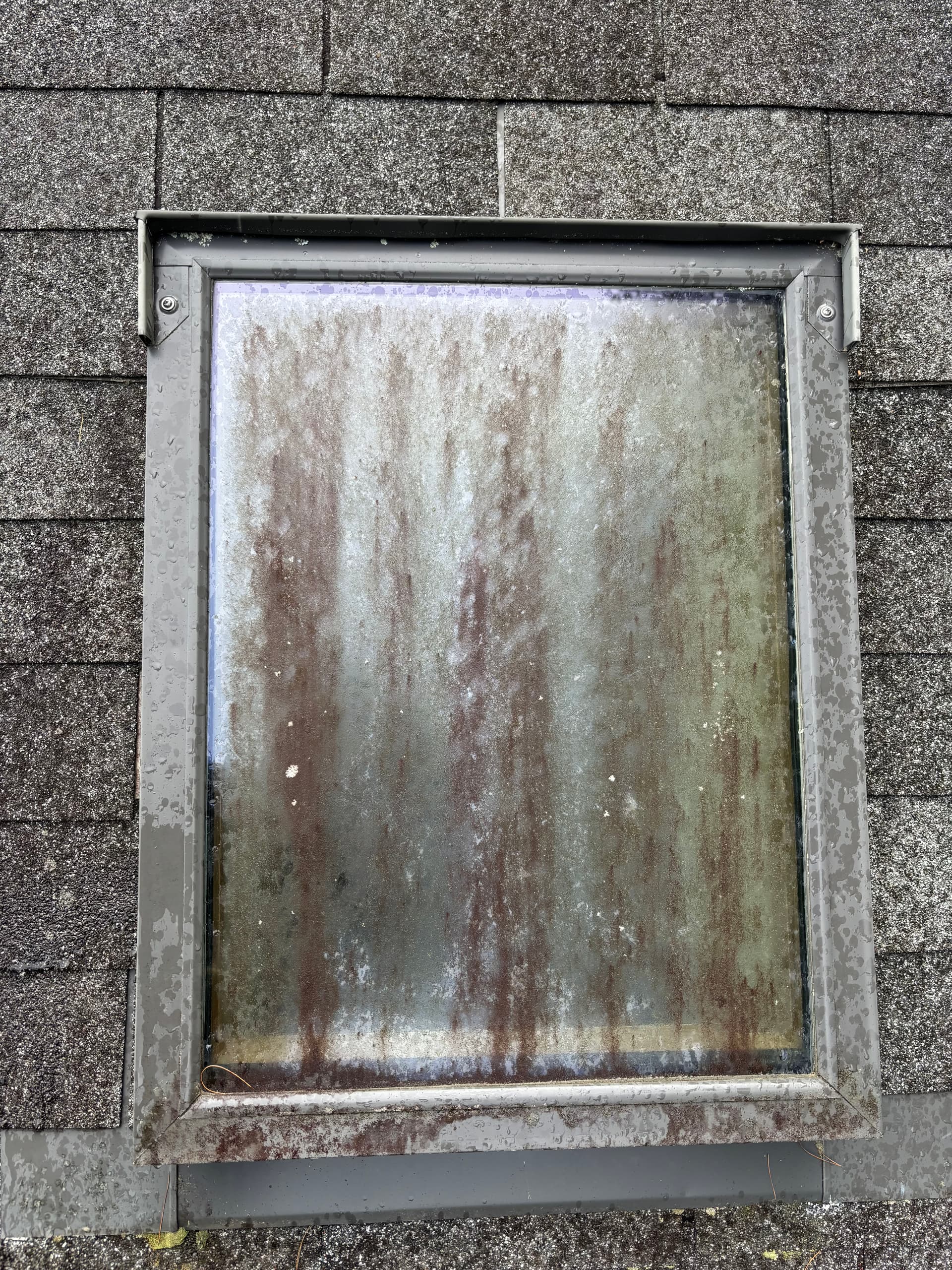 Gallery photos for Exterior Window and Skylight Cleaning That Actually Makes a Difference: Image #3