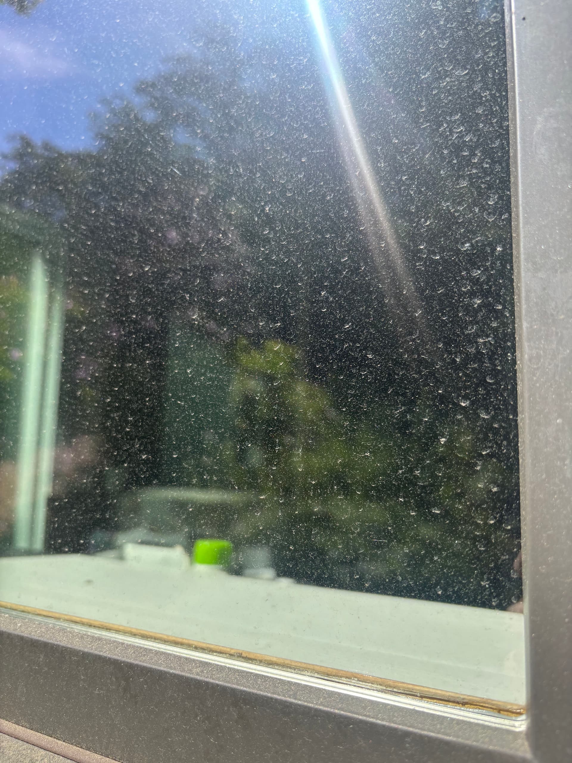 Pollen, Water Spots, and Grimy Sills - Gone image